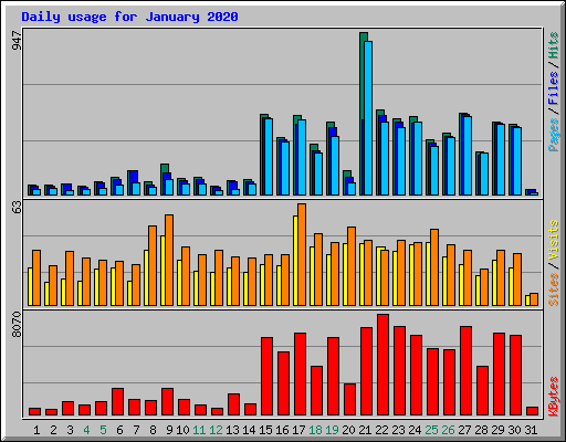 Daily usage for January 2020