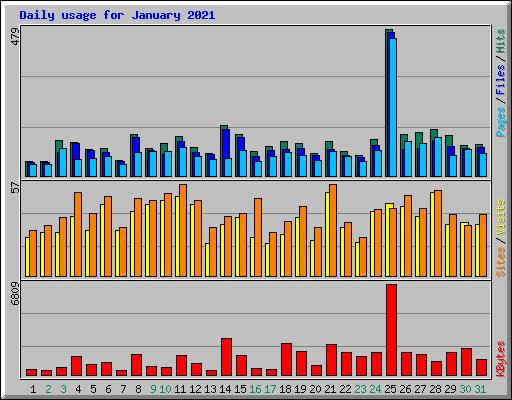 Daily usage for January 2021