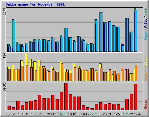 Daily usage for November 2021