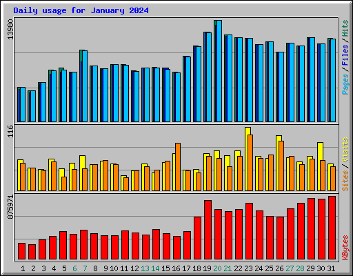 Daily usage for January 2024