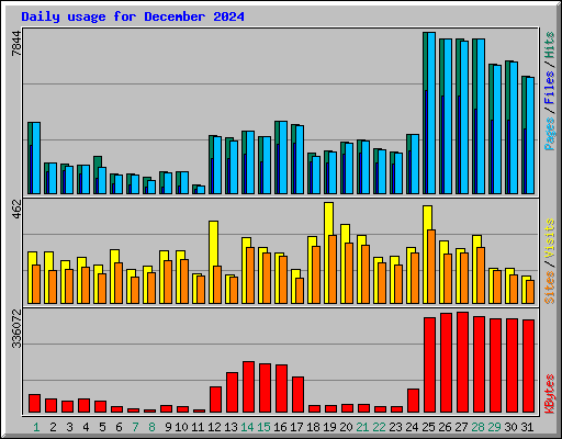 Daily usage for December 2024