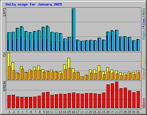 Daily usage for January 2025