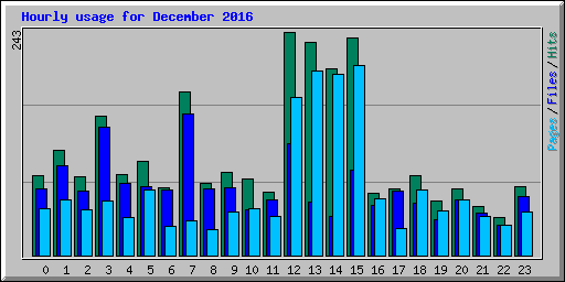 Hourly usage for December 2016