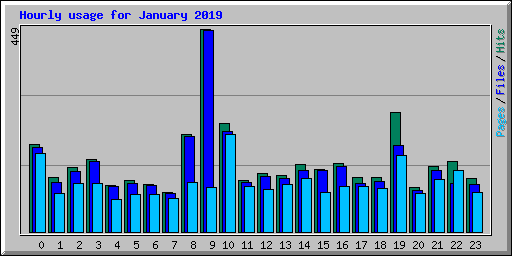 Hourly usage for January 2019