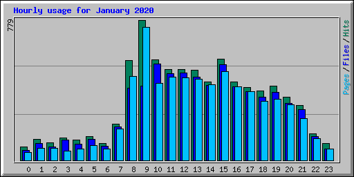 Hourly usage for January 2020