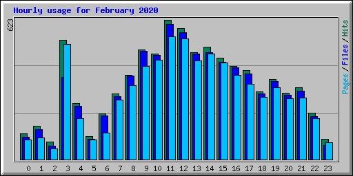 Hourly usage for February 2020