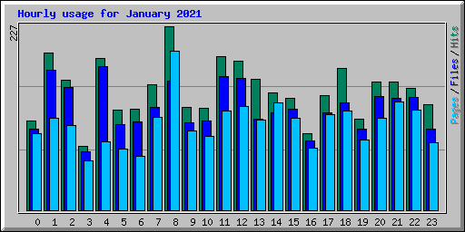 Hourly usage for January 2021