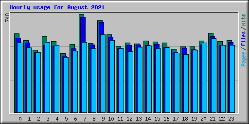 Hourly usage for August 2021