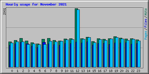 Hourly usage for November 2021