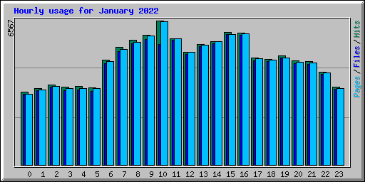 Hourly usage for January 2022