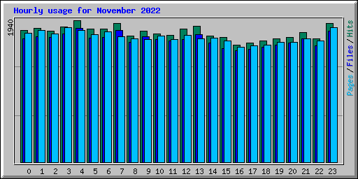 Hourly usage for November 2022