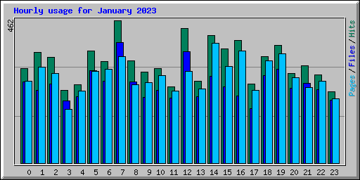 Hourly usage for January 2023