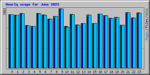 Hourly usage for June 2023