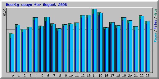 Hourly usage for August 2023