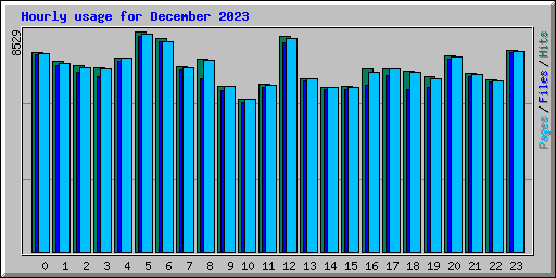 Hourly usage for December 2023