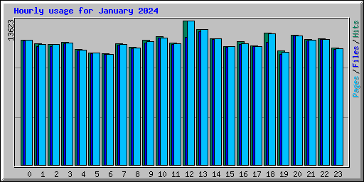 Hourly usage for January 2024