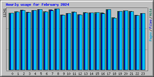 Hourly usage for February 2024