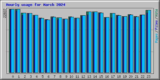 Hourly usage for March 2024