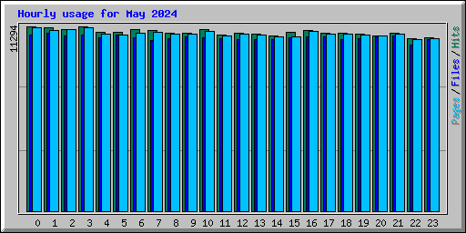 Hourly usage for May 2024