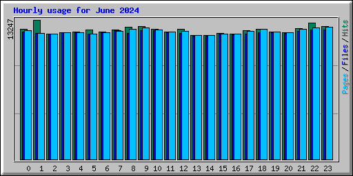 Hourly usage for June 2024