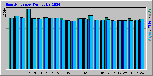 Hourly usage for July 2024