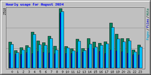 Hourly usage for August 2024