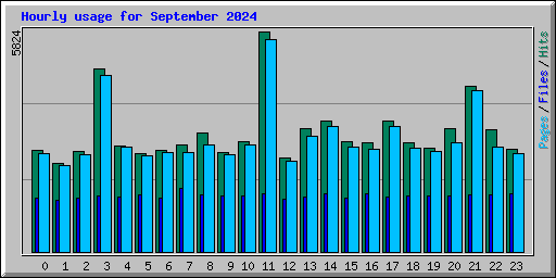 Hourly usage for September 2024