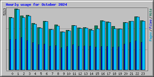 Hourly usage for October 2024