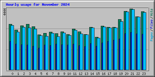 Hourly usage for November 2024