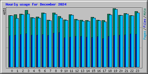 Hourly usage for December 2024