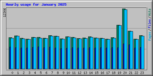 Hourly usage for January 2025