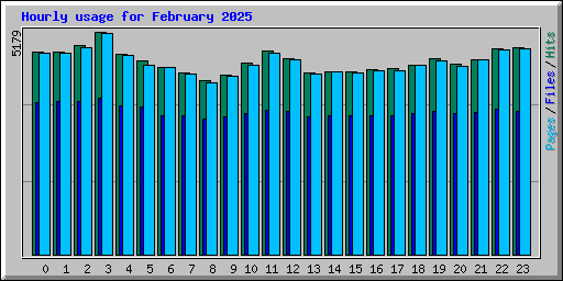 Hourly usage for February 2025