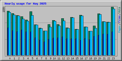 Hourly usage for May 2025