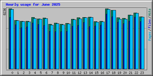 Hourly usage for June 2025