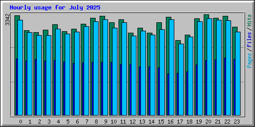 Hourly usage for July 2025