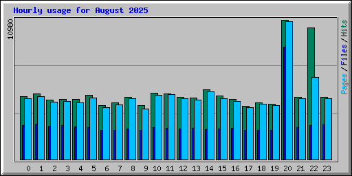 Hourly usage for August 2025